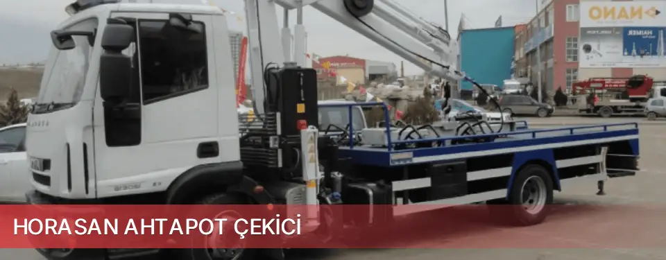 Horasan İlçemi Ahtapot Çekici